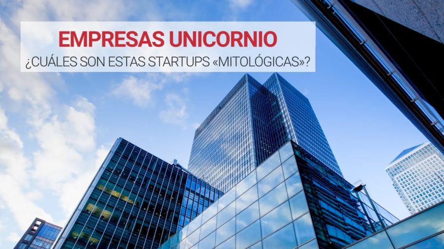 Los-secretos-del-exito-de-las-startups-unicornio | Realidad Económica