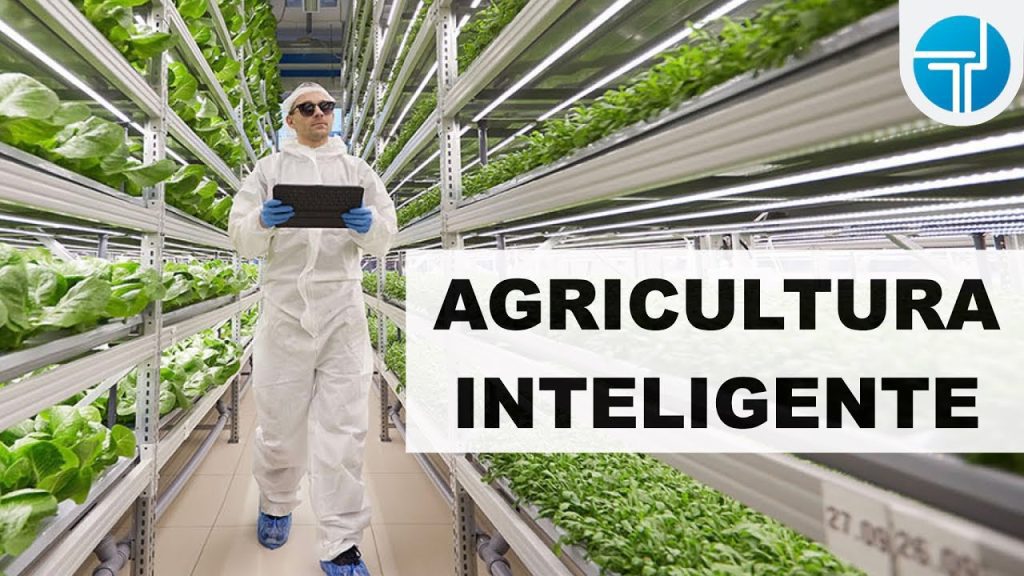 El impacto de las start-ups en la revolución de la agricultura vertical ...
