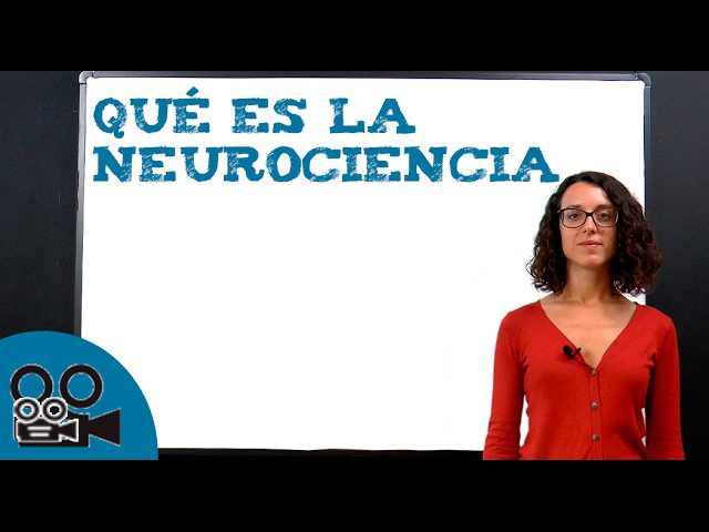Como-Utilizar-la-Neurociencia-en-el-Desarrollo-de-Productos-de-Startup | Realidad Económica