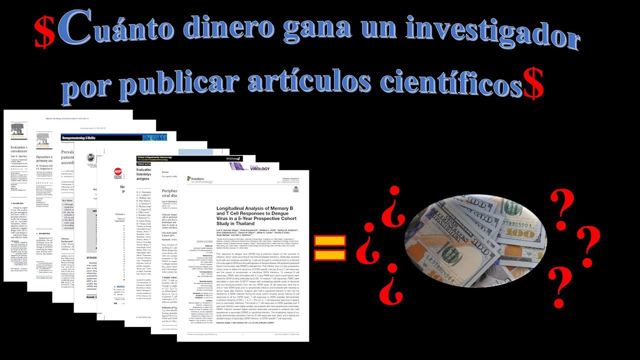 Cuanto-gana-un-Investigadora-de-mercado | Realidad Económica