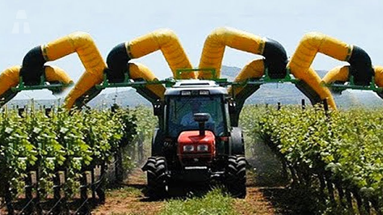 Economia-de-la-Robotica-en-la-Agricultura-Automatizacion-y-Eficiencia | Realidad Económica