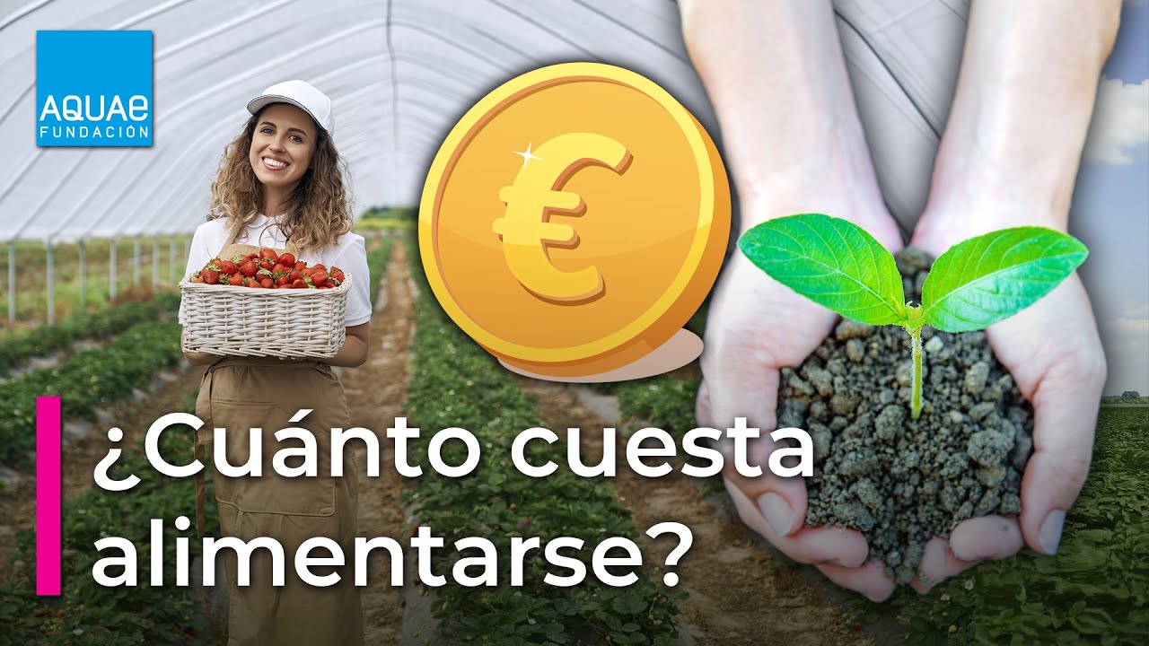 Cuanto-gana-un-Consultora-de-sostenibilidad-en-la-produccion-de-alimentos-aeroespaciales | Realidad Económica