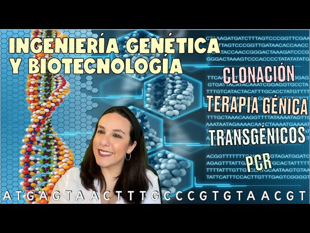 Cuanto-gana-un-Investigadora-en-bioetica-para-aplicaciones-de-ingenieria-genetica | Realidad Económica