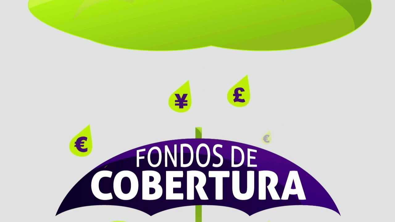 Fondos-de-cobertura-en-la-gestion-del-patrimonio-empresarial | Realidad Económica Fondos de cobertura en la gestión del patrimonio empresarial