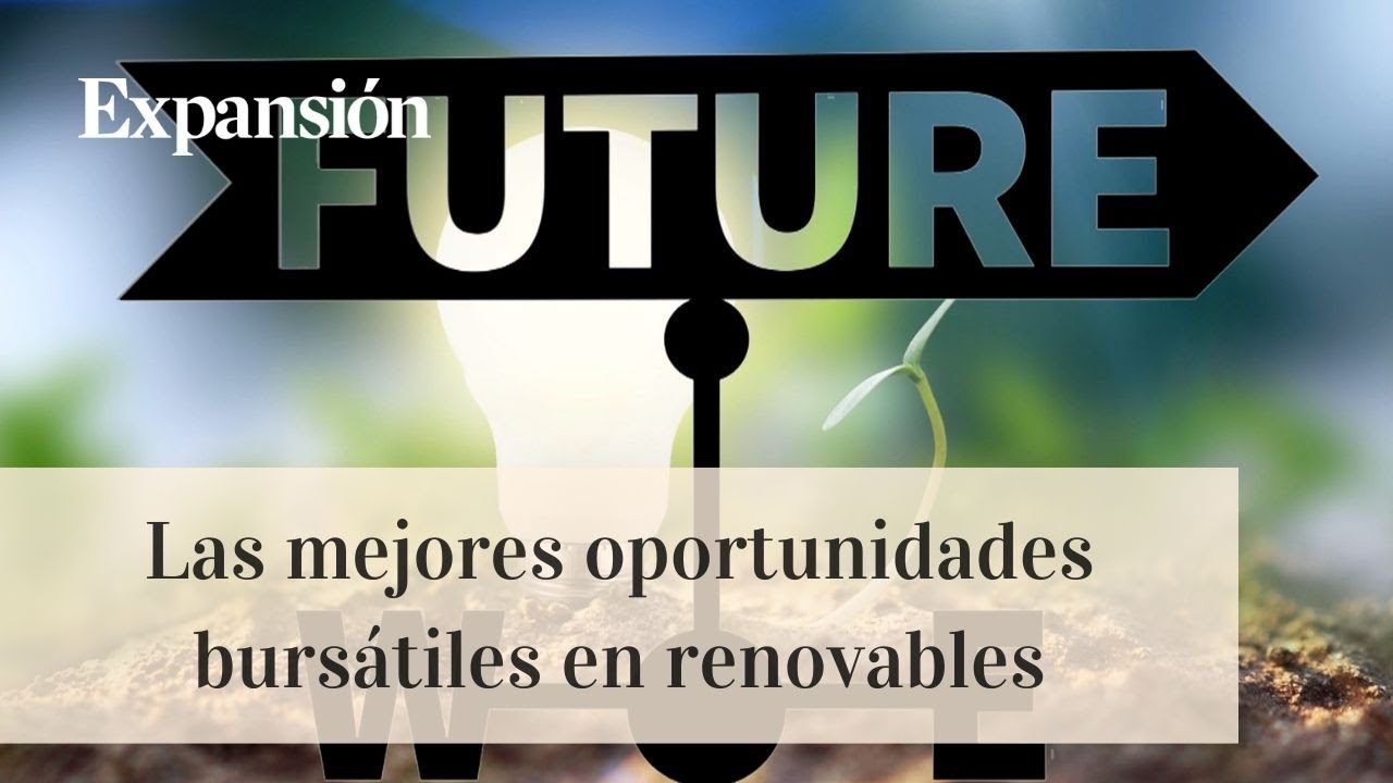 Inversiones en energías renovables para la gestión patrimonial de empresas