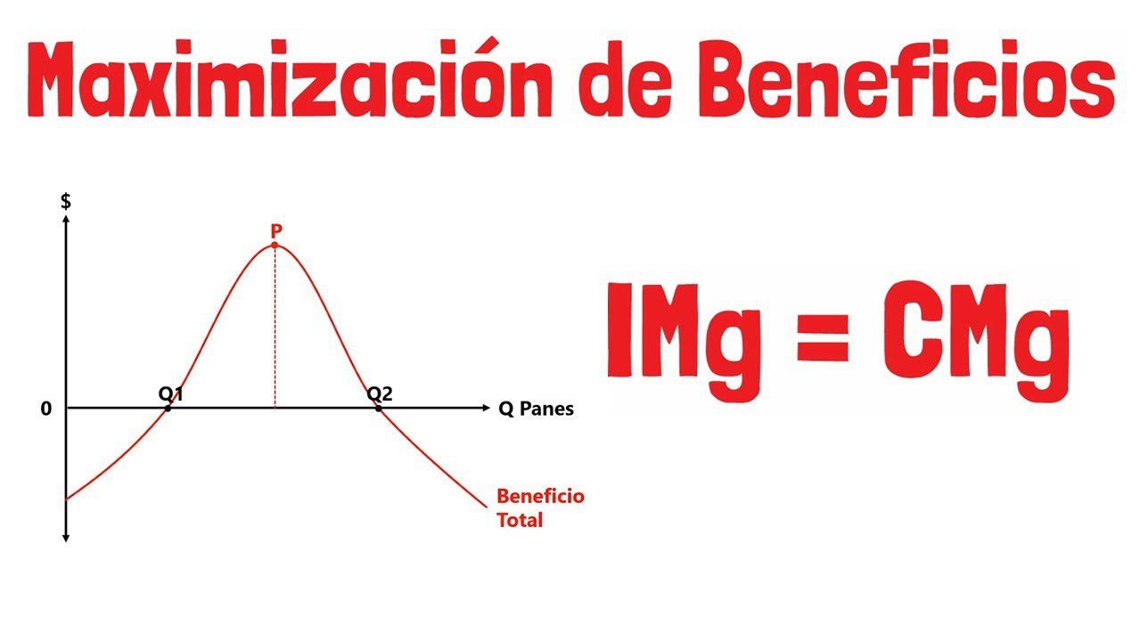 Definición de la teoría de la maximización de utilidad y su aplicación en las finanzas