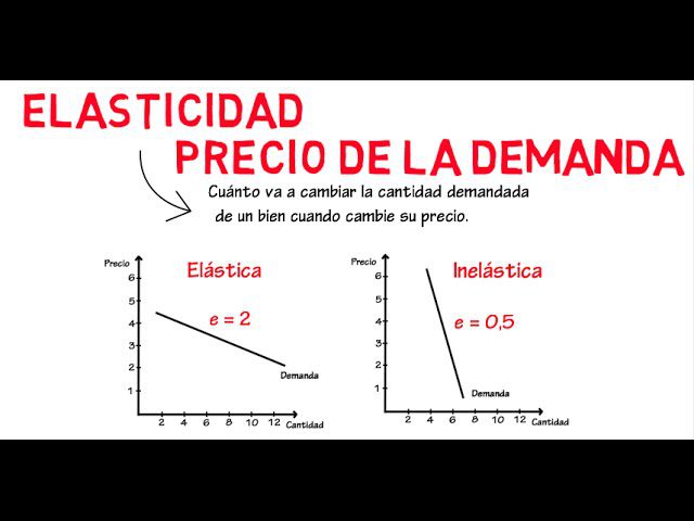 Teoría de la elasticidad y su impacto en la economía de mercado