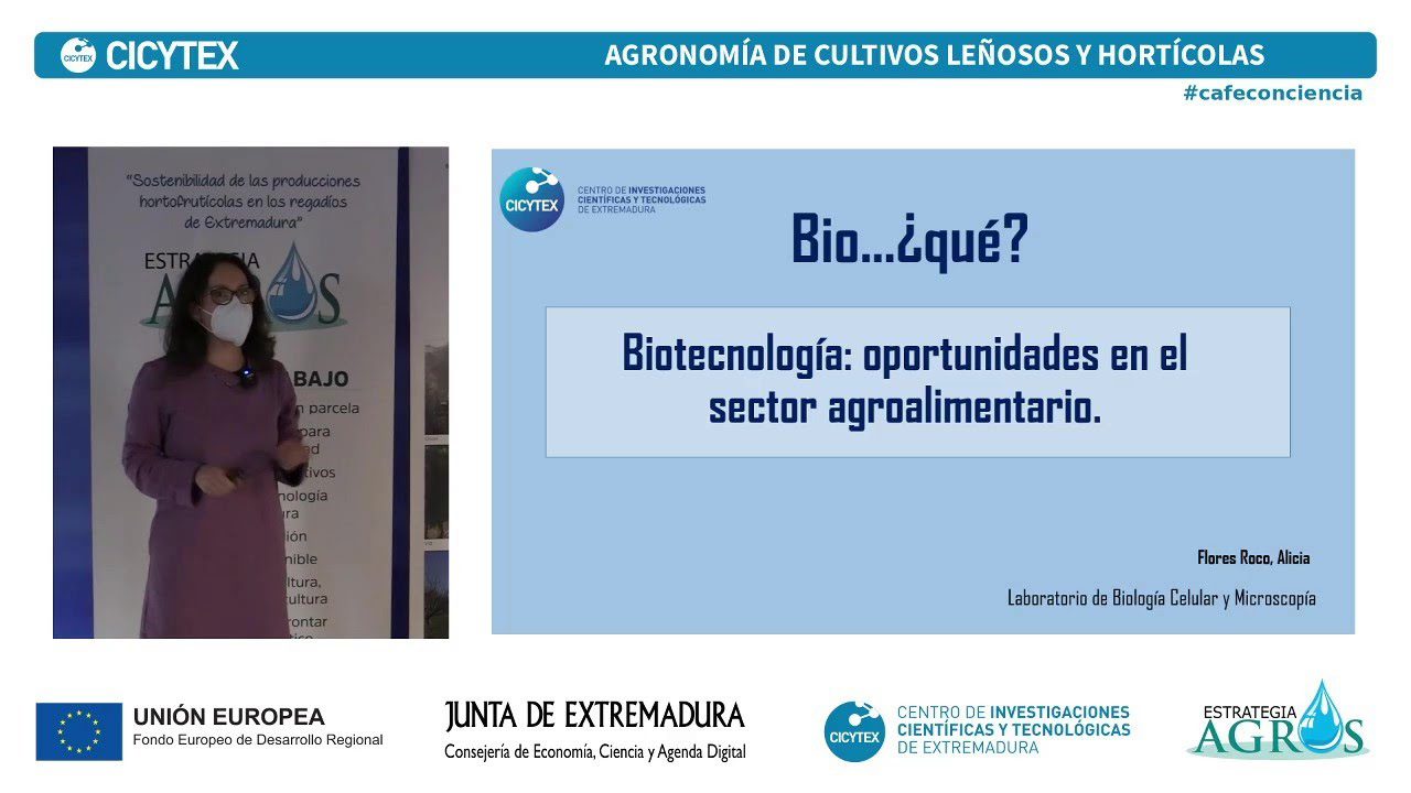 Cómo aprovechar las oportunidades en el sector de biotecnología agrícola