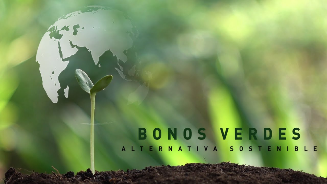 Inversiones-en-bonos-verdes-una-alternativa-para-pymes | Realidad Económica Inversiones en bonos verdes: una alternativa para pymes
