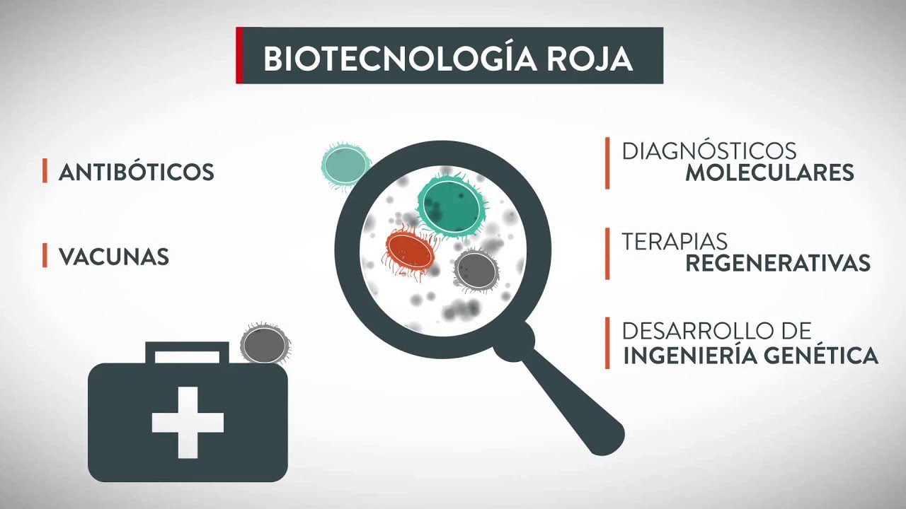 Las mejores plataformas para el desarrollo de aplicaciones de biotecnología
