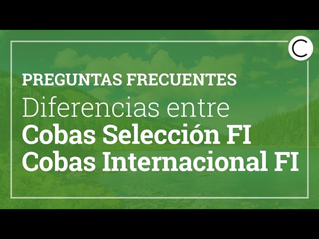 COBAS INTERNACIONAL FI