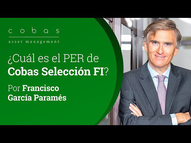 COBAS-SELECCION-FI | Realidad Económica COBAS SELECCION FI