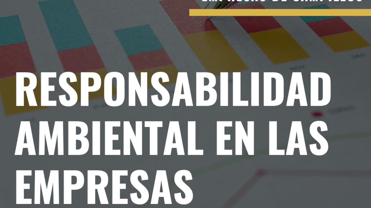 La importancia de la responsabilidad ambiental en los negocios