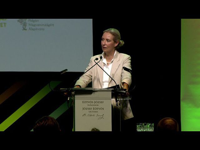 DUX UMBRELLA FI/DUX UMBRELLA/ARAGUI-EGALA