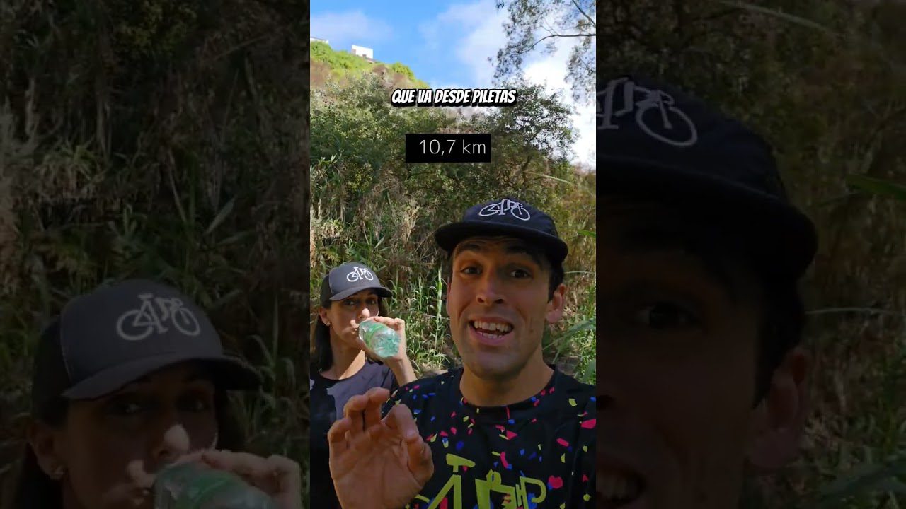 curiosidades-sobre-Maria-del-Pino | Realidad Económica curiosidades sobre María del Pino